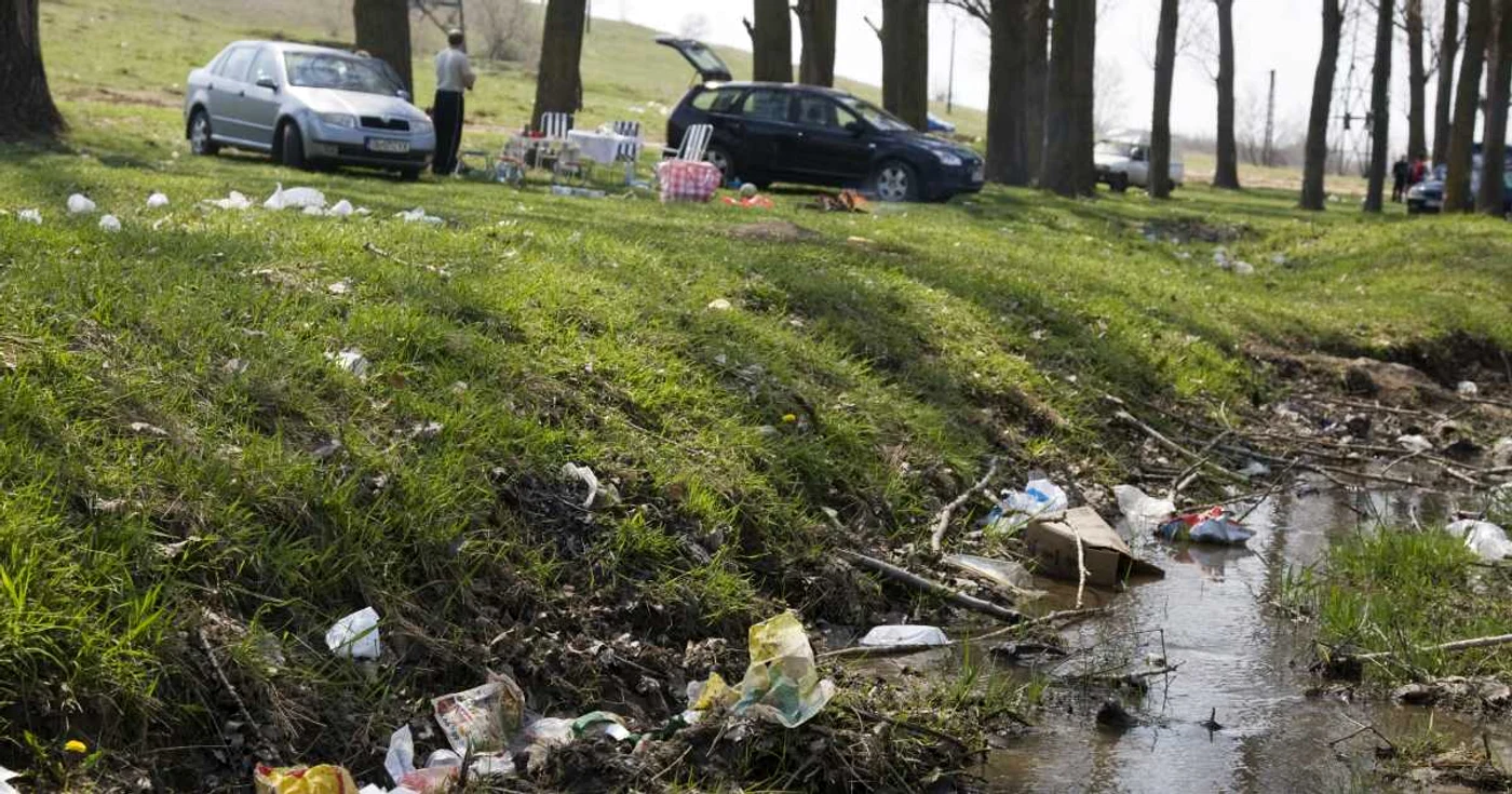 Români, bucurându-se de frumuseţile patriei, la iarbă verde