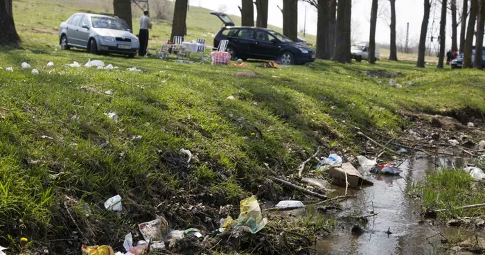 Români, bucurându-se de frumuseţile patriei, la iarbă verde