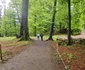 Sarmizegetusa Regia Foto Daniel Guță ADEVĂRUL (93) jpg