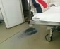 Spitalul Clinic Judeţean de Urgenţă Constanţa - imagine a mizeriei Foto Lucian C.