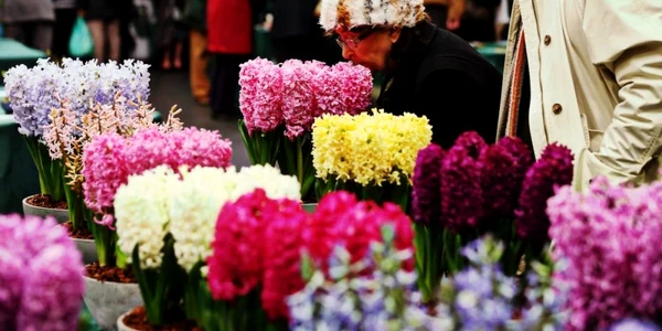 Flori - florarie  FOTO Guliver / Getty Images