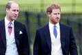 printul william si harry jpeg