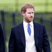 printul william si harry jpeg