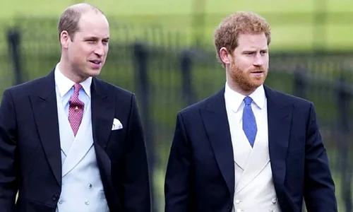 printul william si harry jpeg