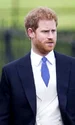 printul william si harry jpeg