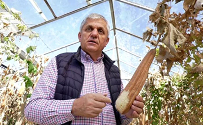 Este cultivată de un deceniu la Buzău