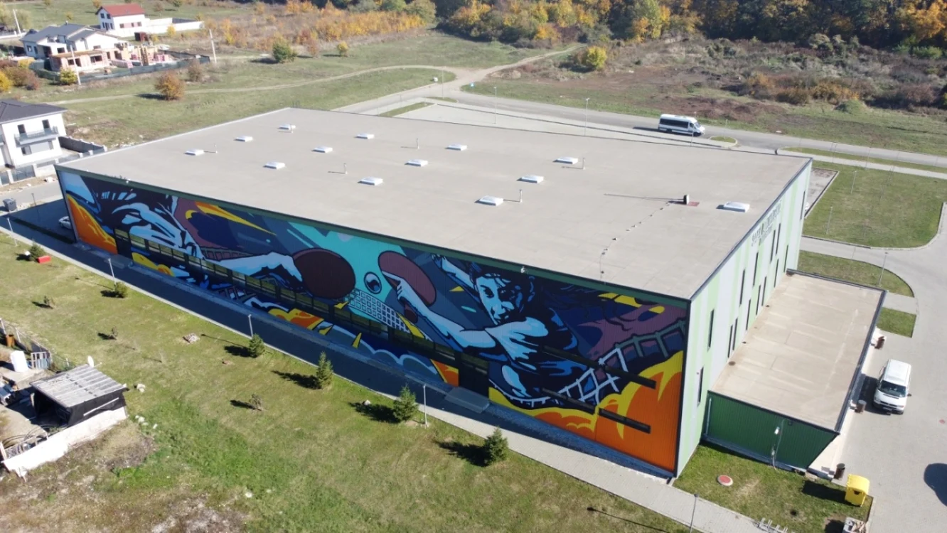 Pictura murală de pe sala de sport din Dumbrăviţa