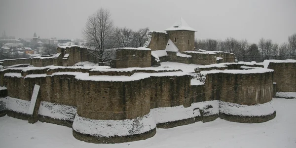 cetatea sucevei