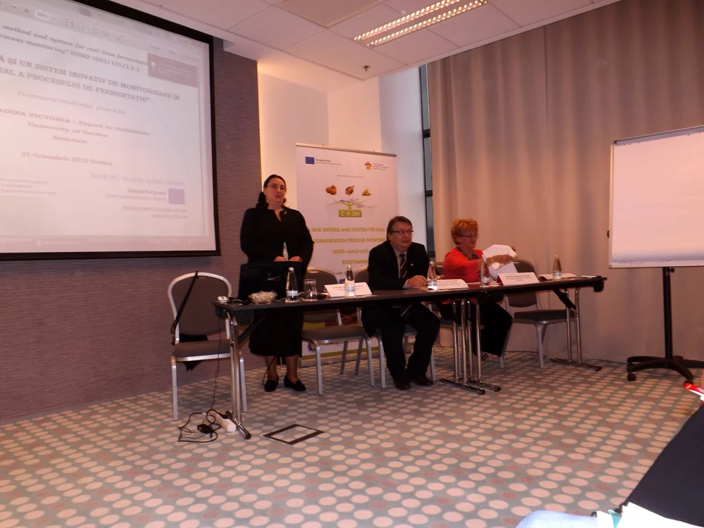 A fost finalizat un proiect romano-maghiar