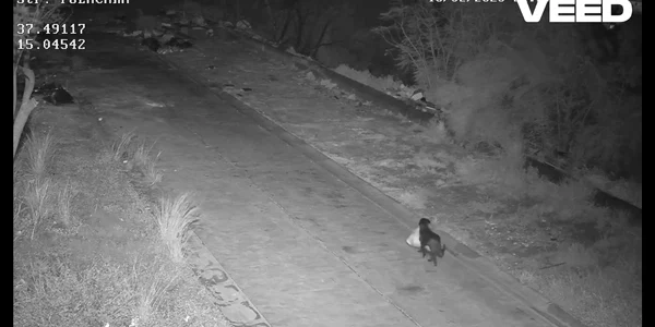 caine din italia arunca gunoiul pe marginea drumului in Sicilia FOTO: captură Video Facebook Comune di Catania