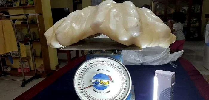 Un pescar din Filipine a aflat abia după zece ani că perla imensă pe care a găsit-o în timpul unei furtuni, în interiorul unei moluşte uriaşe, valorează incredibila sumă de 100 de milioane de dolari. FOTO Daily Mail