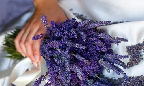 1 71538 original jpg jpeg