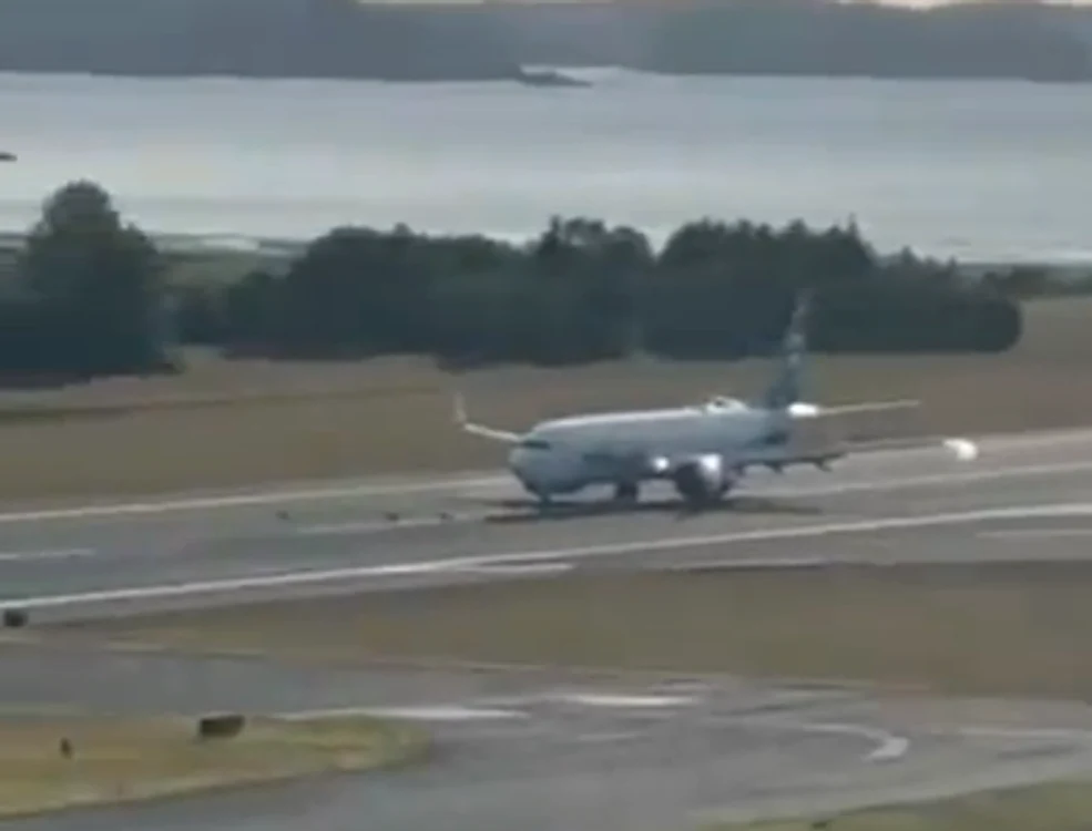 Avionul a lovit câteva căprioare FOTO: captura video