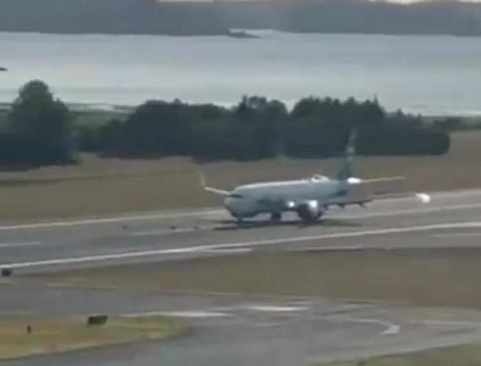 Avionul a lovit câteva căprioare FOTO: captura video
