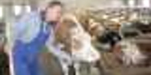 Mai puţini bani nerambursabili pentru Măsura 121