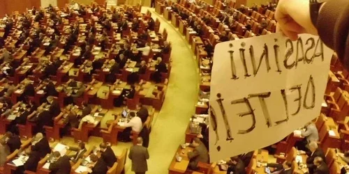 „Asasinii Deltei“, mesajul transmis deputaţilor de ecologişti