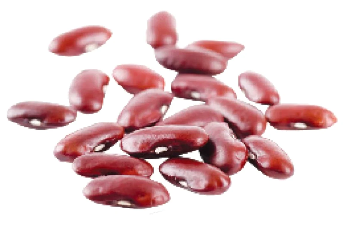 
    Pentru a obţine cantităţi suficiente de tiamină şi riboflavină, cercetătorii recomandă cereale fortificate, orez sălbatic, fasole şi 100 de grame de carne roşie.  
