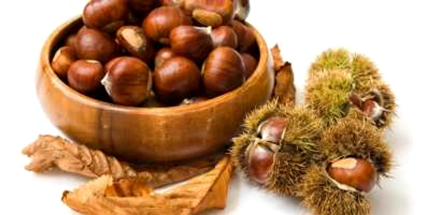 Decoctul din castane nu doar că va scădea temperatura corpului, dar va ajuta şi la revitalizarea organismului