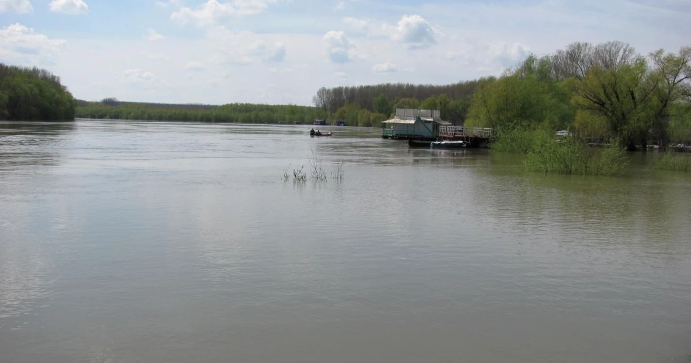 Borcea, afluentul Dunării, la Călăraşi Foto:I.S.
