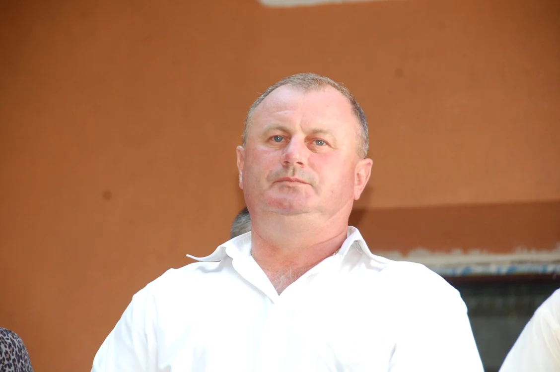 voicu vasile
