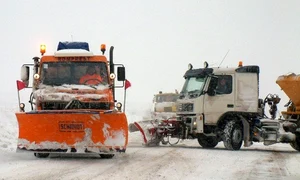 utilaje dezapezire jpeg