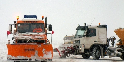 utilaje dezapezire jpeg