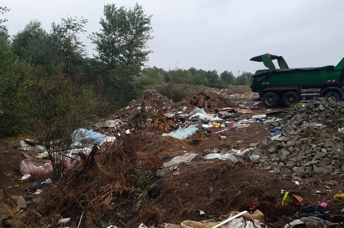 Imagini surprinse pe DN 6 - Nanov. FOTO Facebook Garda Națională de Mediu