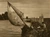 historia ro undefined jpeg