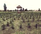 Parcul Salca