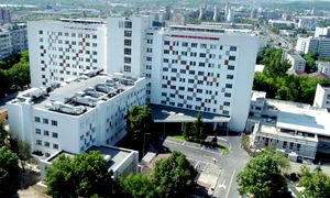 505714707 1142556991224415 6494319307521444753 n jpg