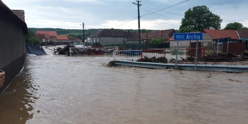 inundatii alba