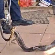 1a2c179c672afee27af531a91d37ebcd jpg