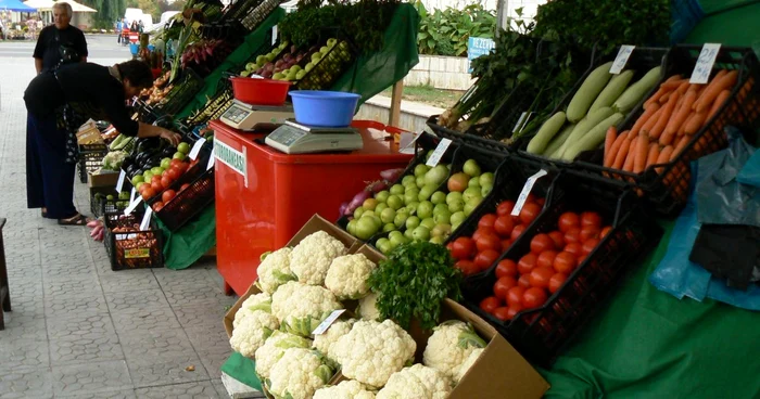 Zilele Recoltei 2012 Alexandria