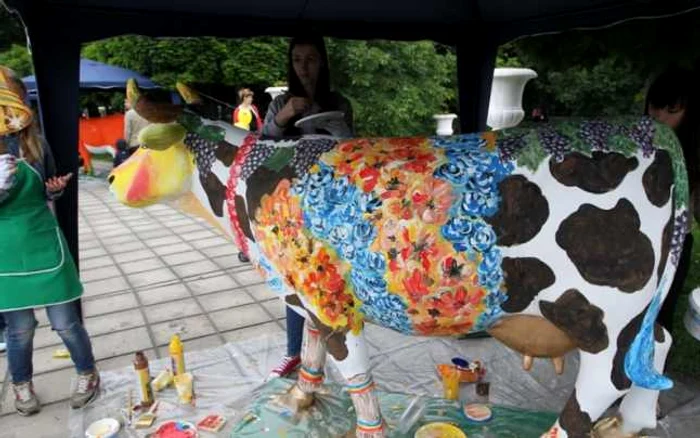 Una dintre văcuţele de la eveniment a fost îmbrăcată în flori multicolore FOTO: Tudor Iovu