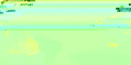 Psihoterapia individuală îi ajută pe cei cu cancer să suporte mai bine boala