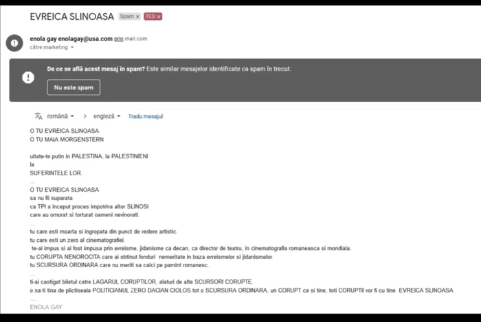 mesaj catre Maia Morgenstern