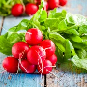 ridichi foto shutterstock
