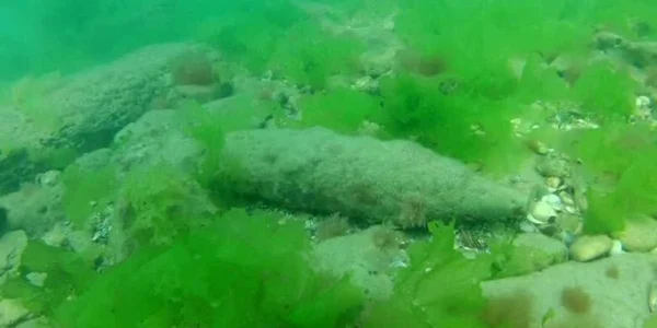 Un proiectil de calibru 76 mm a fost descoperit în Marea Neagră, în apropierea plajei din Eforie Nord