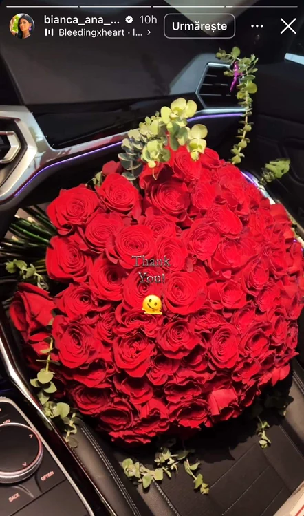 Imaginea postată de Bianca Dan. Foto: Instagram