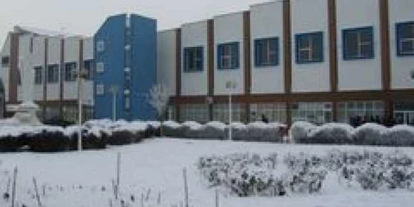patinoar galati
