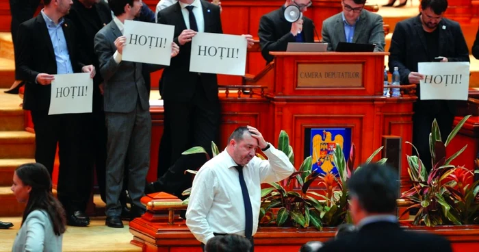 Deputatul PSD Cătălin Rădulescu. Foto: Mediafax.