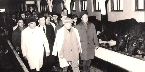 ceausescu slobozia