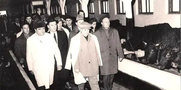 ceausescu slobozia