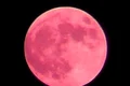 strawberry moon jpeg