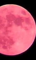 strawberry moon jpeg