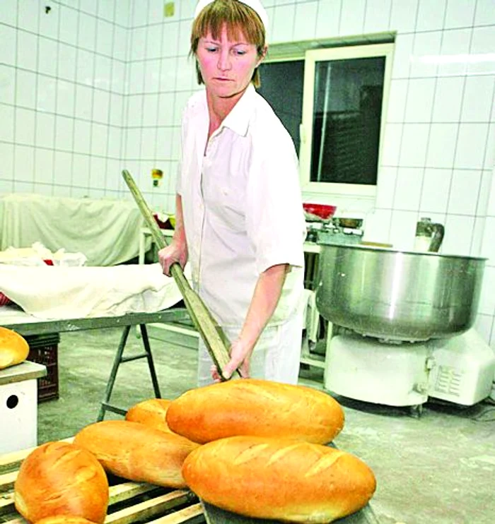 Agricultorii spun că făina pentru pâine va fi de calitate slabă