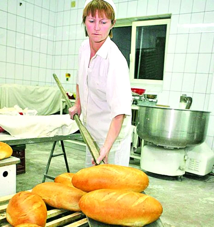 Agricultorii  spun că făina  pentru pâine va  fi de calitate slabă
