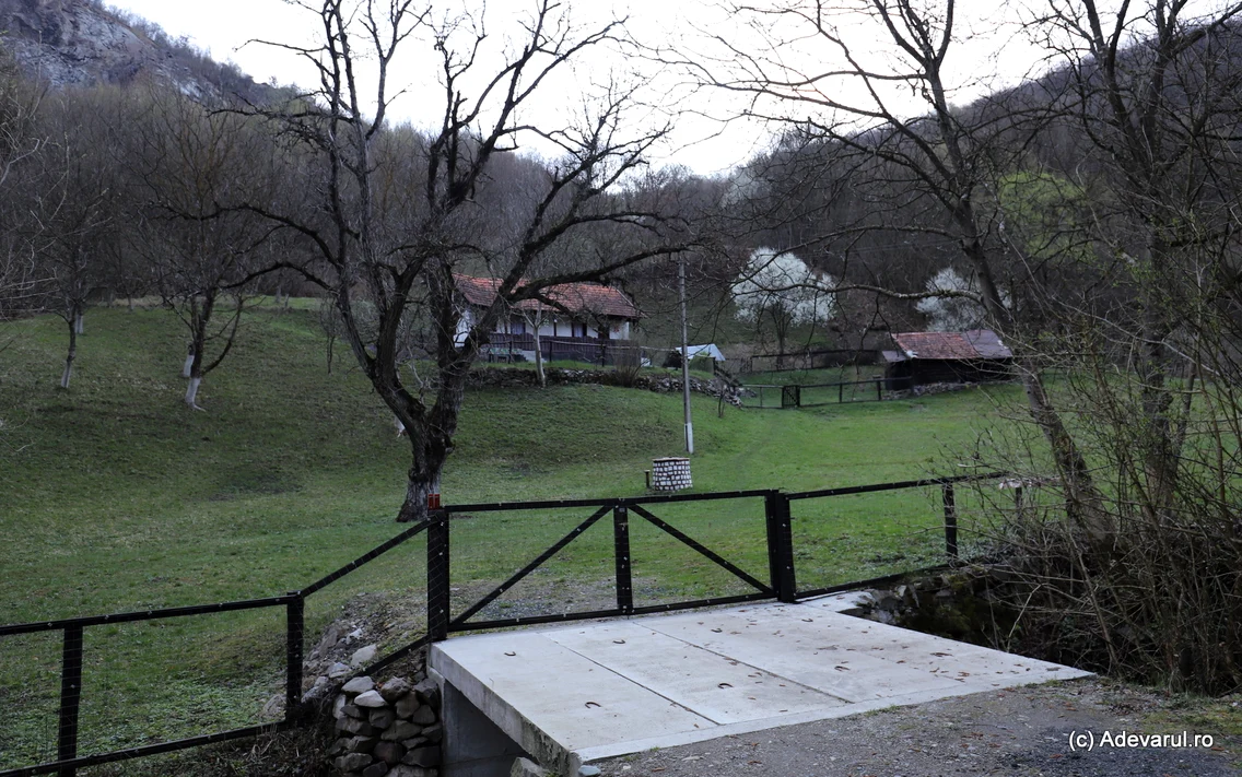 Valea Arsului, Hunedoara  Foto Daniel Guță ADEVĂRUL (95) JPG