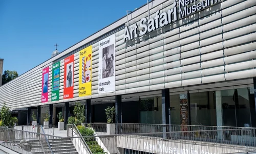 Art Safari New Museum