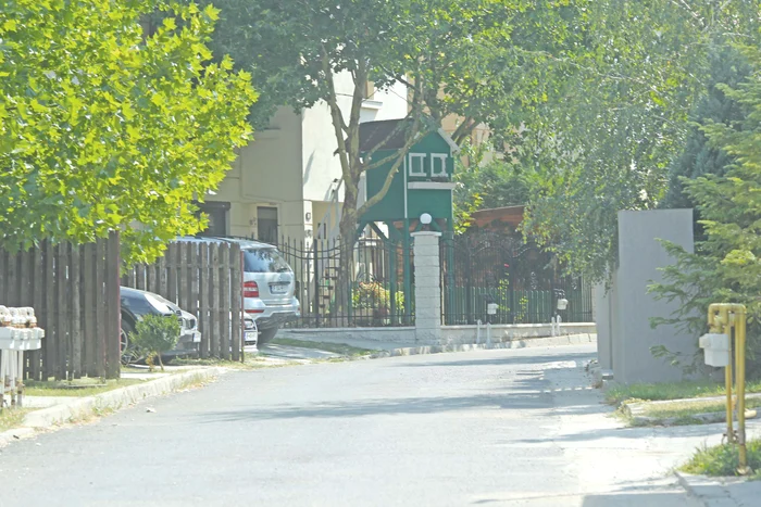 În curte, Andreea i-a construit Violetei o căsuţă ca-n poveşti